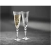 Lyngby Glas – Crystal Melodia šampano taurė – 16 cl – 4 rinkinys