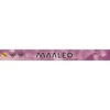 Maaleo 24-compartment document folder