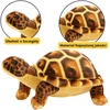 Lean Toys Pliušinis Vėžliukas 25 cm