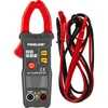 Miernik 600 V universalus replės-skaitiklis, CE, Proline