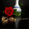 Golden Rose Mikamax - 24 karatų auksinė rožė