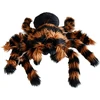 Mikamax - milžiniškas tarantulas