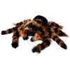 Mikamax - milžiniškas tarantulas