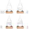 Mikamax - Storm Glass – Globe