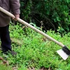 Motyka Kaplis sodui su kabliu, skirtas augalų ravėjimui, 32 cm