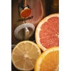 Sulčiaspaudė Mesko | Juicer | MS 4126 | Type Automatic juicer | Nerūdijantis plienas | 600 W | Extra large fruit input | Greičių skaičius 3