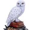 Nemesis Nowharry Potter Hario Poterio Hedvigos figūrėlė 22 cm