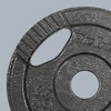 Ketaus svarelių rinkinys 4x2.5kg, skylė 31mm, plokštė su rankenomis, REBEL ACTIVE
