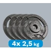 Ketaus svarelių rinkinys 4x2.5kg, skylė 31mm, plokštė su rankenomis, REBEL ACTIVE