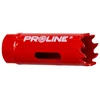 Otwornica Bimetalinis skylių pjūklas M3, 19 mm, 4/6 tpi, proline