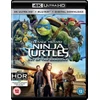 Paaugliai mutantai nindzių vėžliai: iš šešėlių (4K Blu-Ray)