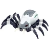 Lean Toys RC voro robotas
