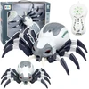 Lean Toys RC voro robotas