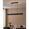 Pakabinamas šviestuvas EGLO | Lubinis šviestuvas Andreas | 4320 lm | 19 W | Nuo šiltos iki šaltos, RGB | LED | 220–240 V