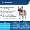 „Petsafe“ – ekstremalioms oro sąlygoms skirtos augintinių durys, M – (729849157958)
