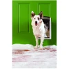 „Petsafe“ – ekstremalioms oro sąlygoms skirtos augintinių durys, M – (729849157958)