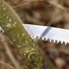 Piła Rankinis pjūklas medžių šakoms su kabliu, plieno sodo pjūklas, 40 cm