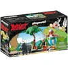PLAYMOBIL - Asteriksas - Šernų medžioklė (71160)