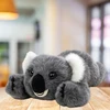 Lean Toys Pliušinis koalos žaislas 30 cm