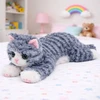 Lean Toys Pliušinis katinas 38 cm