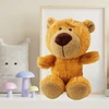 Lean Toys Pliušinis meškiukas, rudas, 23 x 12 cm