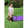 Pompka- Stūmoklinis rankinis siurblys 37 cm Bestway 62086