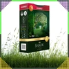 Premium Aukščiausios kokybės žolių sėklų mišinys SHADE 1kg 40m šešėlinėms vietoms
