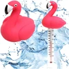 Pływający Plaukiojantis baseino termometras SPA baseino vandens temperatūrai Flamingo virvelė