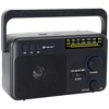 FM radijas radijas TRACER GTX100