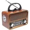 FM radijas radijas TRACER RTX200