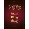 Ravensburger Burgundijos pilys