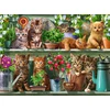 Ravensburger - Dėlionė Katės Ant Lentynos 500p (12000205)