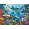 Ravensburger - Dėlionė - Koralinio rifo prieglobstis 1000p (12001172)