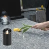 Realne Ceny Krzysztof Alchimionek 120 vnt. Kasetė žvakėms Žvakė su baterijomis LED 12,5 cm Liepsnos efektas