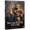 Rialto Notre-Dame dega - Notre-Dame dega - Notre-Dame dega