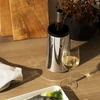 Rosendahl Grand Cru Barware vyno aušintuvas, 22,5 cm aukščio, plienas