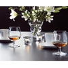 Rosendahl Grand Cru konjako stiklinės, 40 cl, 2 vnt. rinkinys