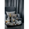 Tulip Rosendahl Grand Cru likerio stiklinės, 24 cl, 2 vnt. rinkinys