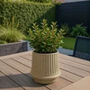 SACKit - Gaia 16 sodo vazonas - Ø17 cm - smėlio spalvos