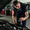 RTO Automobilinis graužikų atbaidiklis