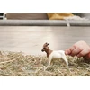 Schleich figūrėlė Būrų veislės ožka