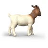 Schleich figūrėlė Būrų veislės ožka