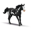 SCHLEICH HORSE CLUB Paintų veislės eržilas