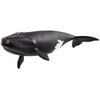 Schleich - Šiaurės Atlanto dešinysis banginis - (14878)