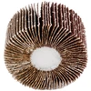 Ściernica Plokštelinis šlifavimo diskas su kotu 80 x 30 x 6 mm, P60