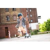 Scoot and Ride Scoot & Ride Highwaykick 3S LED Z systemem sterowania 2w1 Steel S00933