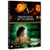 Skęstantys skaičiais DVD