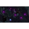 Soft Source Bahamut and the Waqwaq Tree (Import)