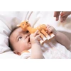 Sophie la Girafe – le Faon (616341)