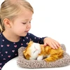 Lean Toys Dekoratyvinė figūrėlė – mieganti katė su pagalvėle